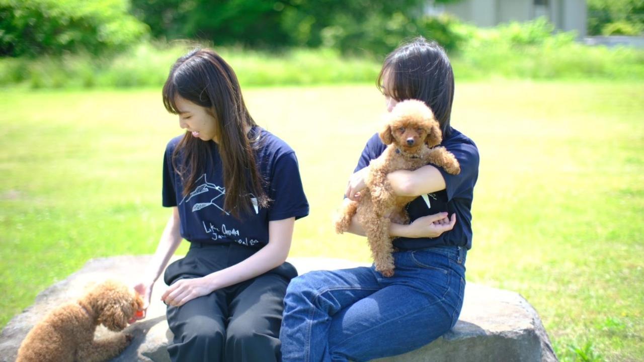 Yukara Glamping 北海道大沼公園 * Nanae