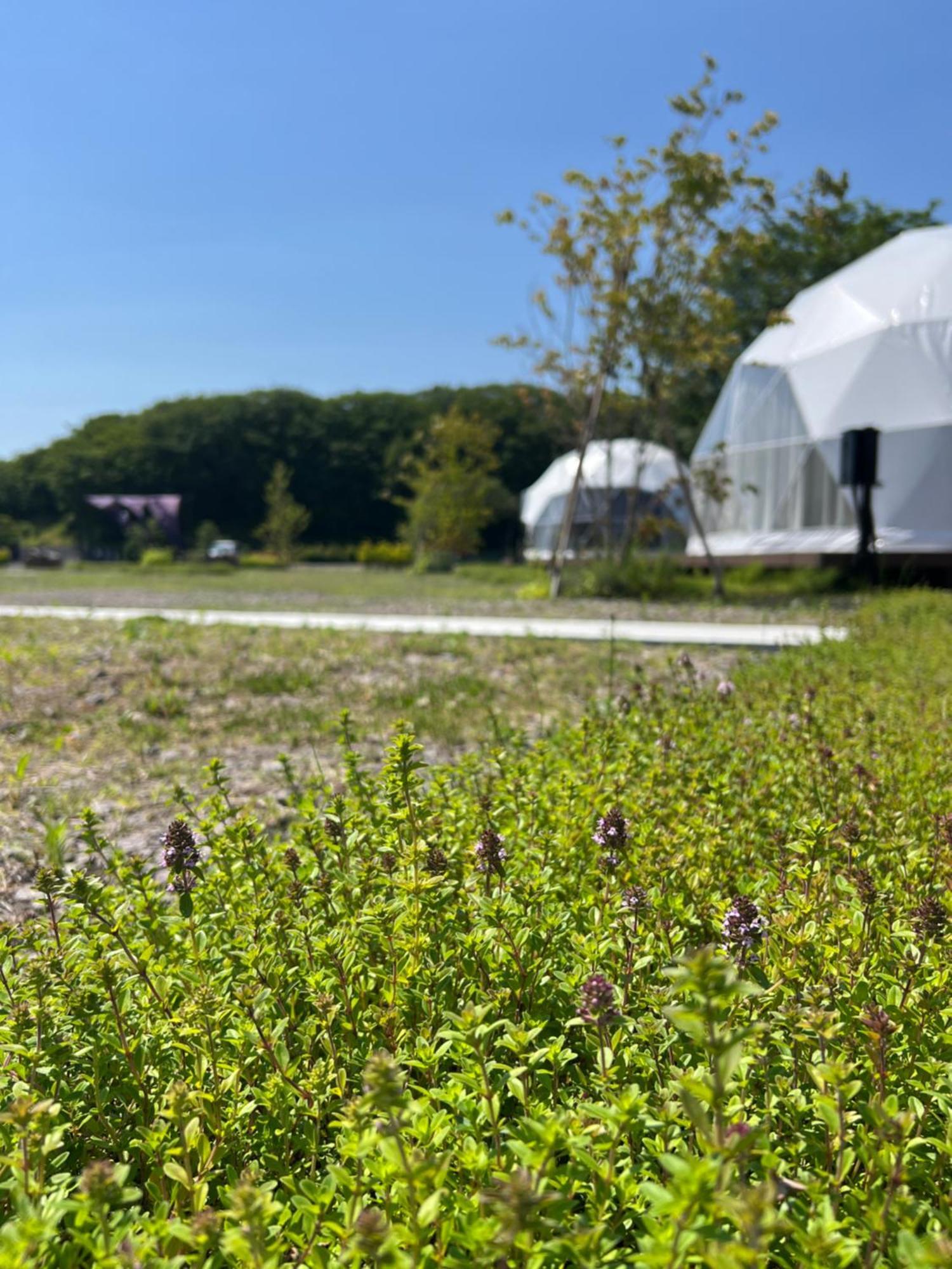 Yukara Glamping 北海道大沼公園 เต็นท์หรู Nanae