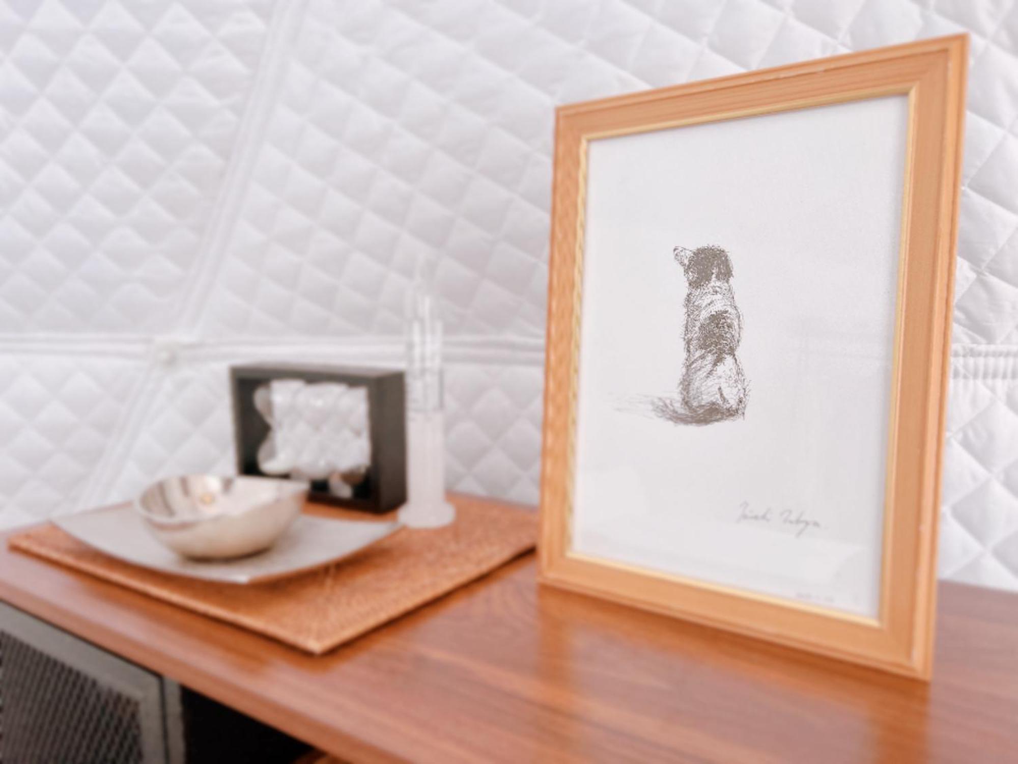 เต็นท์หรู Yukara Glamping 北海道大沼公園
